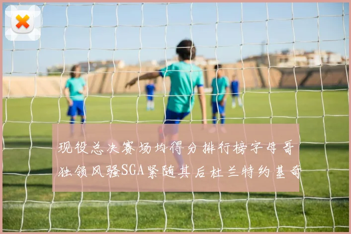 现役总决赛场均得分排行榜字母哥独领风骚SGA紧随其后杜兰特约基奇东契奇争夺第三